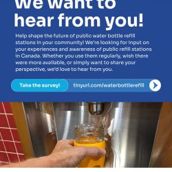 Consumer Survey Promo